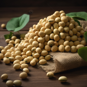 Soya Bean Seed